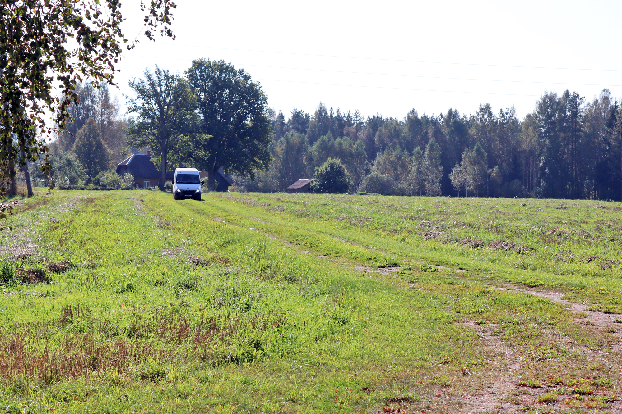 Veikals iebrauc pagalmā