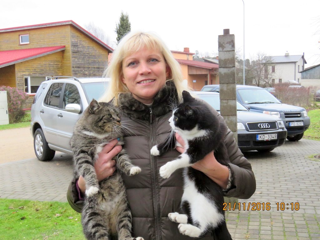 Viņi vienkārši atnāk…