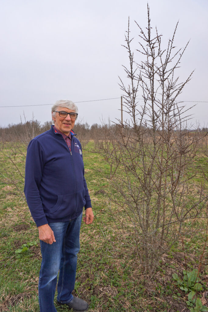 Vitamīnu plantācija Jērcēnu pagastā