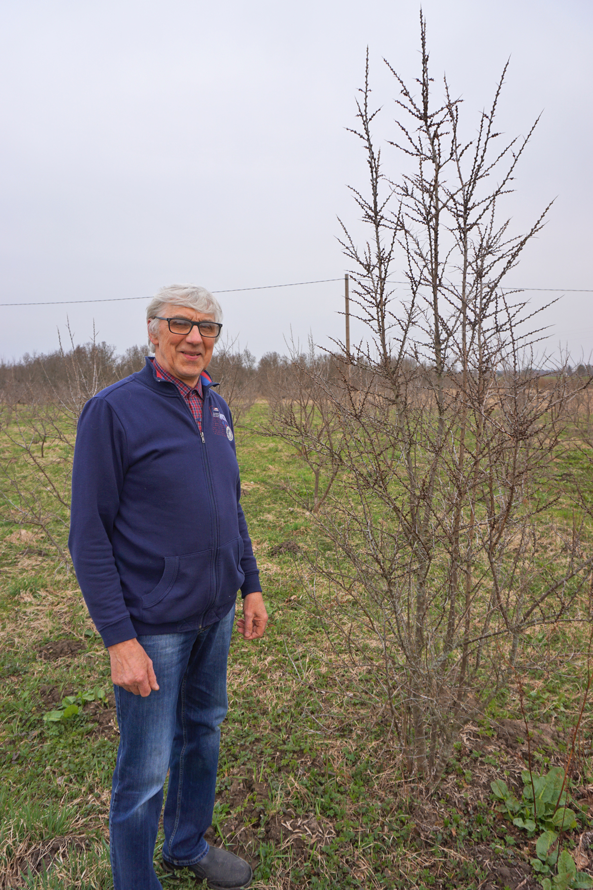 Vitamīnu plantācija Jērcēnu pagastā