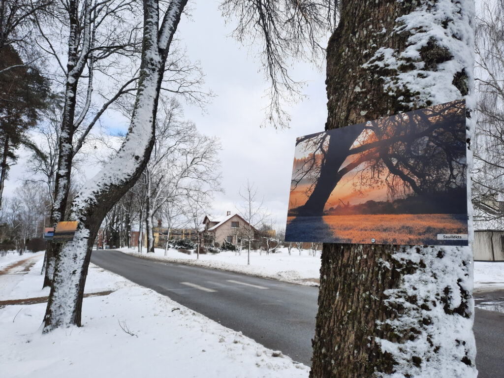 Zelta stundā