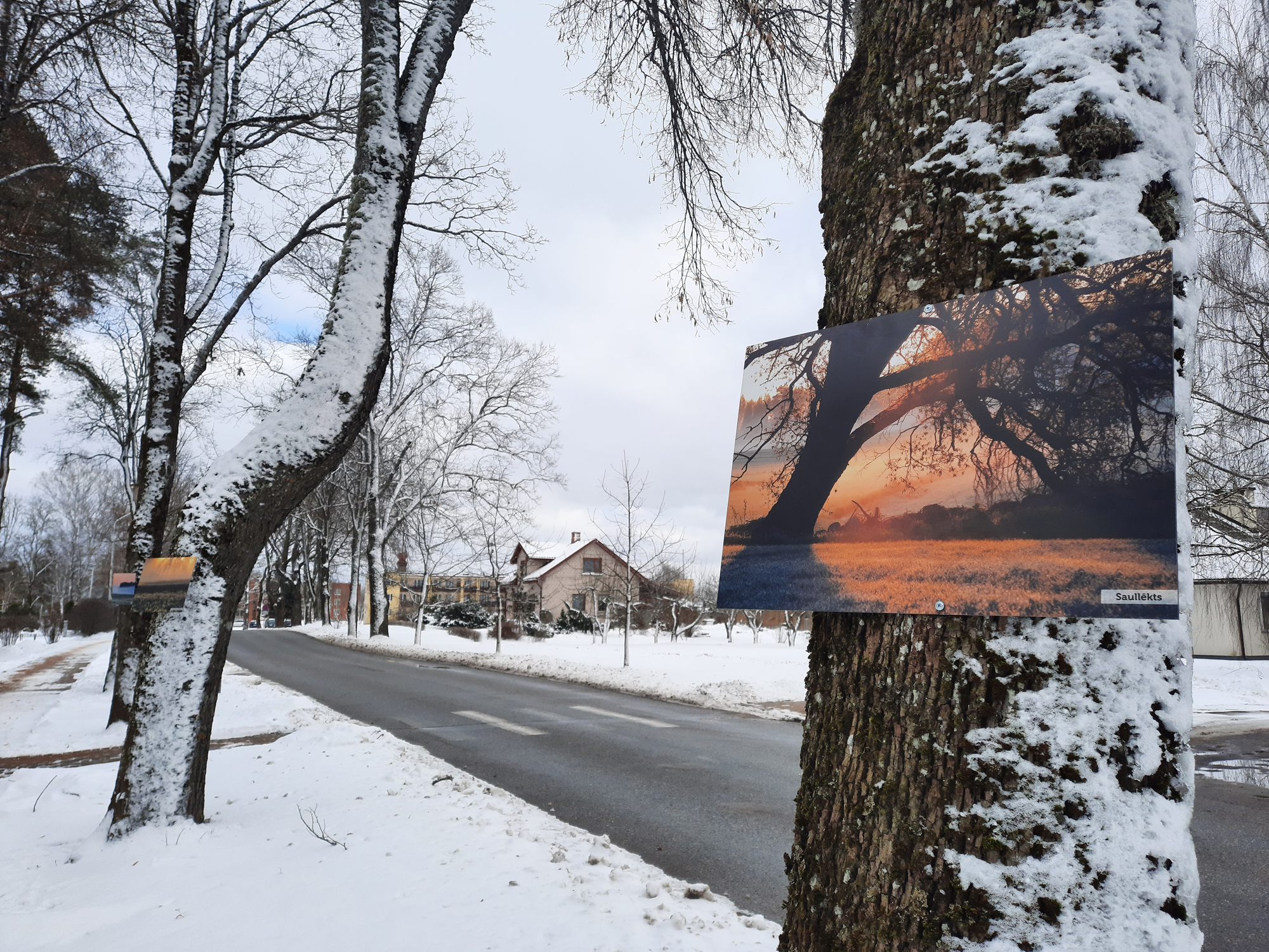 Zelta stundā