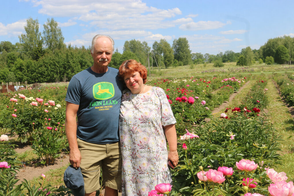 Zied «Silezeru» krāšņās peonijas