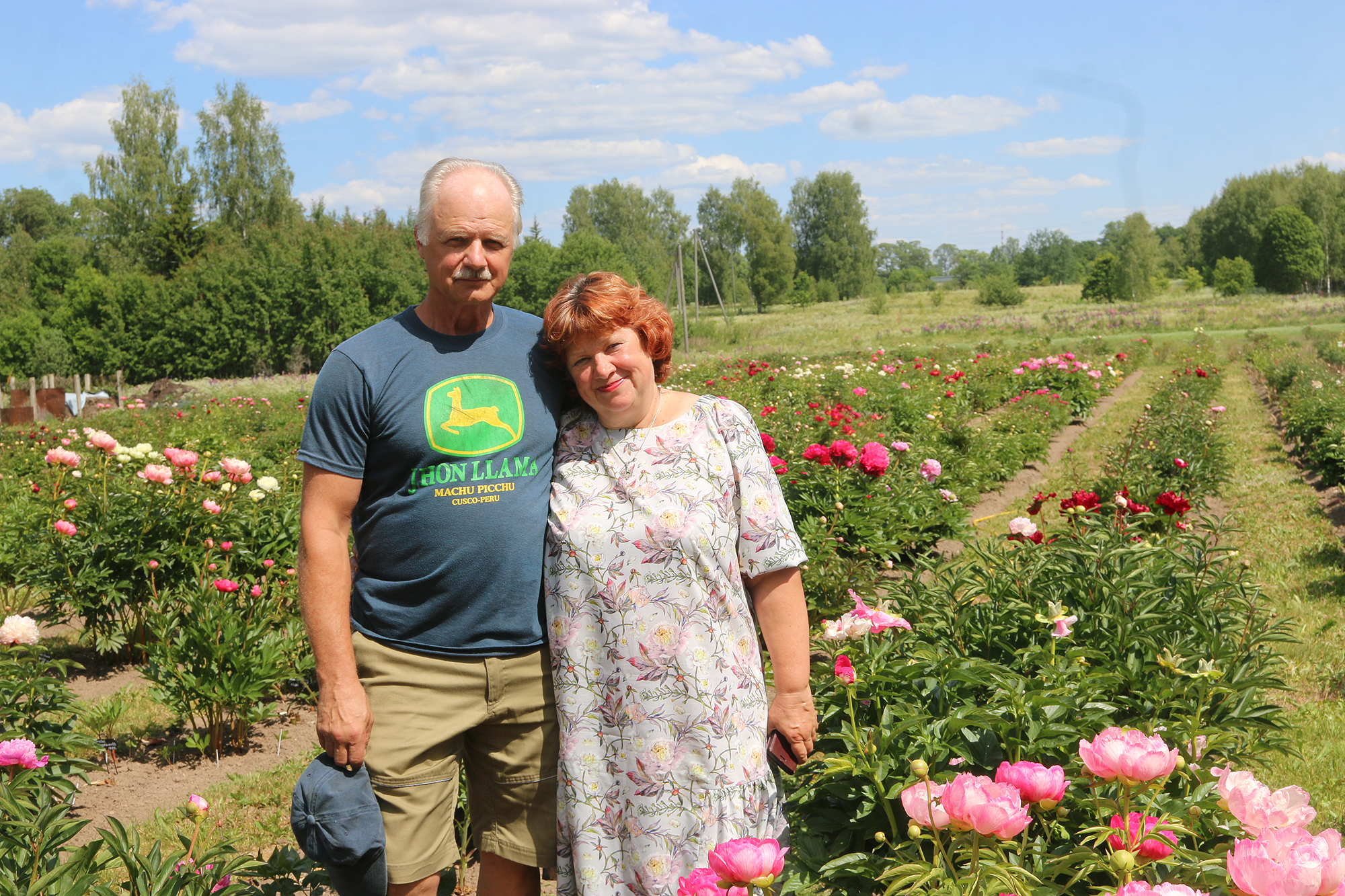 Zied «Silezeru» krāšņās peonijas