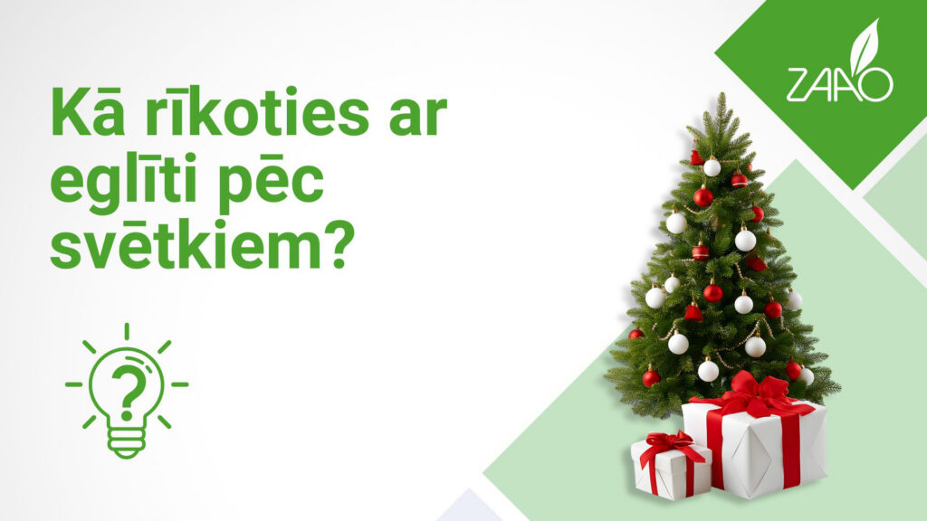 Ziemassvētku eglītes varēs nodot bez maksas